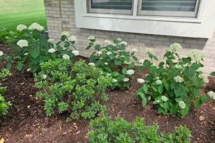 1220 Davey Dr, Batavia, IL 60510 - Photo 65