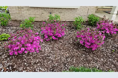 1220 Davey Drive, Batavia, IL 60510 - Photo 59