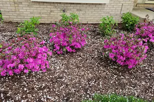 1220 Davey Dr, Batavia, IL 60510 - Photo 59