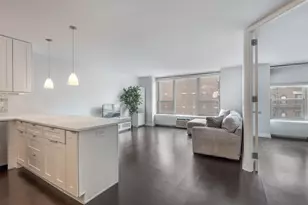 1550 N Lake Shore Dr, Chicago, IL 60610 - Photo 11