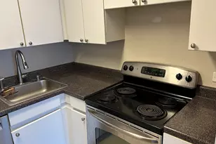 440 N Wabash Ave, Chicago, IL 60611 - Photo 11