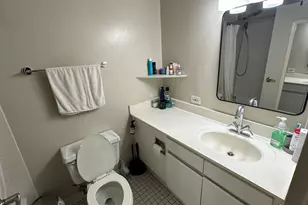 440 N Wabash Ave, Chicago, IL 60611 - Photo 13