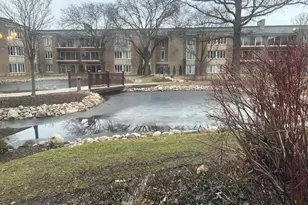 1 Oak Brook Club Dr, Oak Brook, IL 60523 - Photo 33