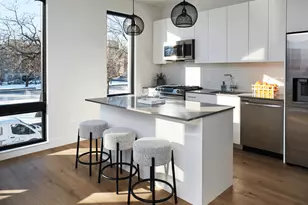 1847 N Humboldt Blvd, Chicago, IL 60647 - Photo 5