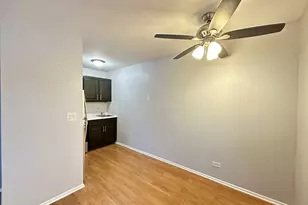 4610 N Dover St, Chicago, IL 60640 - Photo 9