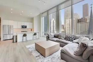 14 W Superior St, Chicago, IL 60654 - Photo 7