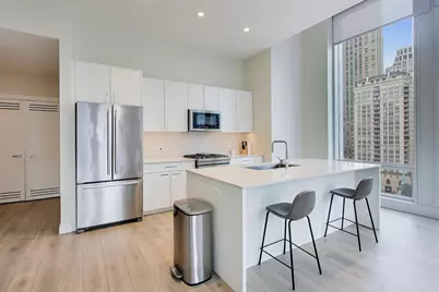 14 W Superior Street #1003, Chicago, IL 60654 - Photo 5