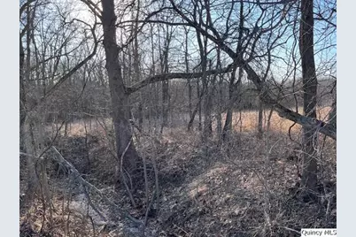 Sec 16 E 2150th Place, Liberty, IL 62347 - Photo 3