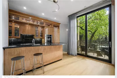 65 W Schiller Street, Chicago, IL 60610 - Photo 15