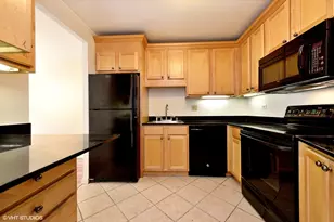 211 E Ohio St, Chicago, IL 60611 - Photo 5