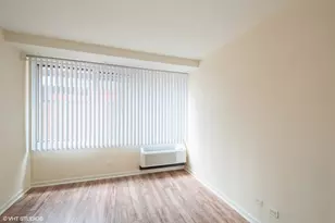 211 E Ohio St, Chicago, IL 60611 - Photo 13