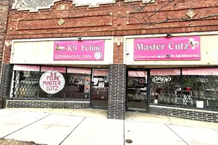 3614 W Division St, Chicago, IL 60651 - Photo 3