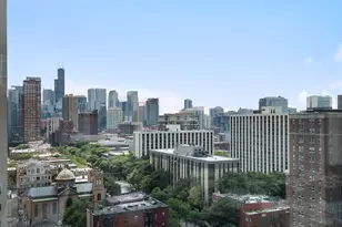 1122 N Clark St, Chicago, IL 60610 - Photo 13