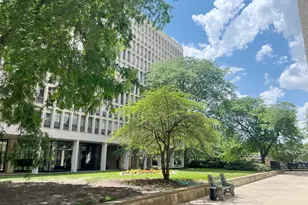 1401 E 55th St, Chicago, IL 60615 - Photo 17