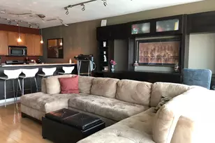 757 N Orleans St, Chicago, IL 60654 - Photo 3