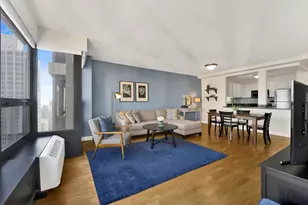 30 E Huron St, Chicago, IL 60611 - Photo 11