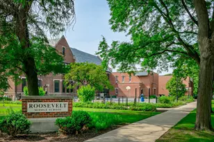 710 William St, River Forest, IL 60305 - Photo 49