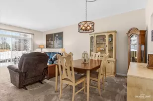 21304 W Douglas Ln, Plainfield, IL 60544 - Photo 7