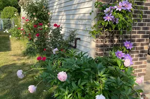 630 Cobblestone Ln, Buffalo Grove, IL 60089 - Photo 3