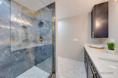 131 N Taylor Avenue, Oak Park, IL 60302 - Photo 23