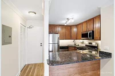 3900 N Pine Grove Avenue #409, Chicago, IL 60613 - Photo 5