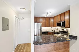 3900 N Pine Grove Ave, Chicago, IL 60613 - Photo 5