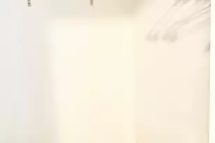 214 W 31st St, Chicago, IL 60616 - Photo 11