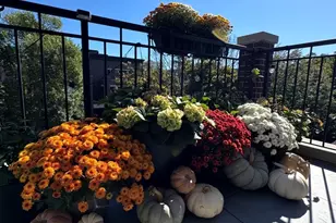 2650 N Racine Ave, Chicago, IL 60614 - Photo 23