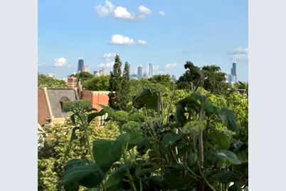 2650 N Racine Avenue #3, Chicago, IL 60614 - Photo 39