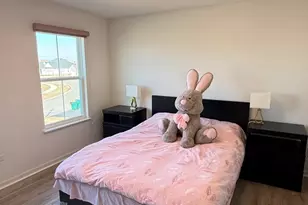 16143 S Lakeview Rd, Plainfield, IL 60586 - Photo 35