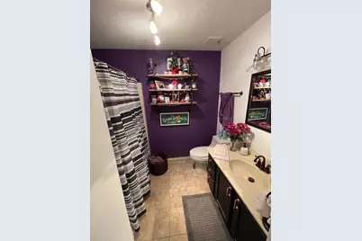 406 S Comet Drive, Braidwood, IL 60408 - Photo 15