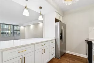 535 N Michigan Ave, Chicago, IL 60611 - Photo 5