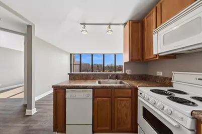 345 E Eastgate Place #204, Chicago, IL 60616 - Photo 11