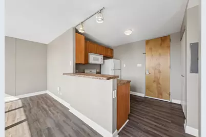 345 E Eastgate Place #204, Chicago, IL 60616 - Photo 9