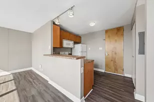 345 E Eastgate Pl, Chicago, IL 60616 - Photo 9