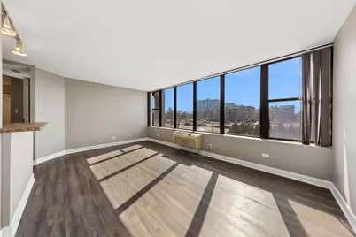 345 E Eastgate Place #204, Chicago, IL 60616 - Photo 7