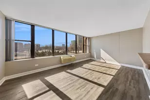 345 E Eastgate Pl, Chicago, IL 60616 - Photo 5