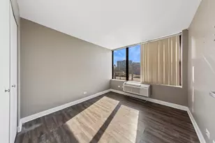 345 E Eastgate Pl, Chicago, IL 60616 - Photo 13