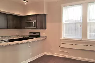 432 W Belmont Ave, Chicago, IL 60657 - Photo 7