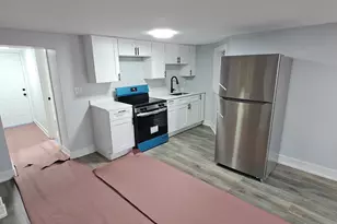 717 N Homan Ave., Chicago, IL 60624 - Photo 39