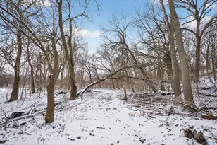 12070 River Rd, Plano, IL 60545 - Photo 91