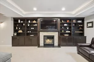 4620 Stonewall Ave, Downers Grove, IL 60515 - Photo 23