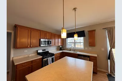 26160 W Ravine Woods Drive, Channahon, IL 60410 - Photo 17