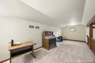 191 Cassin Rd, Naperville, IL 60565 - Photo 15