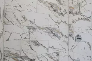 1013 W 18th Pl, Chicago, IL 60608 - Photo 45