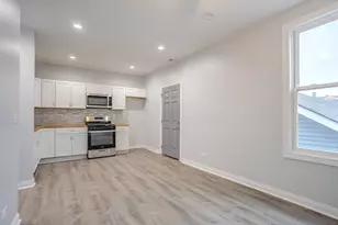 1013 W 18th Pl, Chicago, IL 60608 - Photo 43