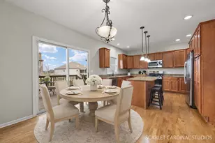 208 Amherst Ct, Oswego, IL 60543 - Photo 13