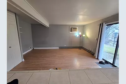 47 Nassau Colony #1, Fox Lake, IL 60020 - Photo 11