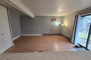 47 Nassau Colony, Fox Lake, IL 60020 - Photo 11