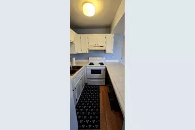 47 Nassau Colony #1, Fox Lake, IL 60020 - Photo 15